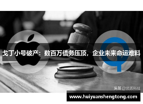戈丁小号破产：数百万债务压顶，企业未来命运难料