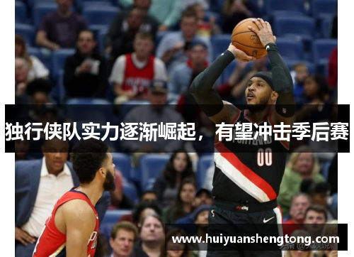独行侠队实力逐渐崛起，有望冲击季后赛